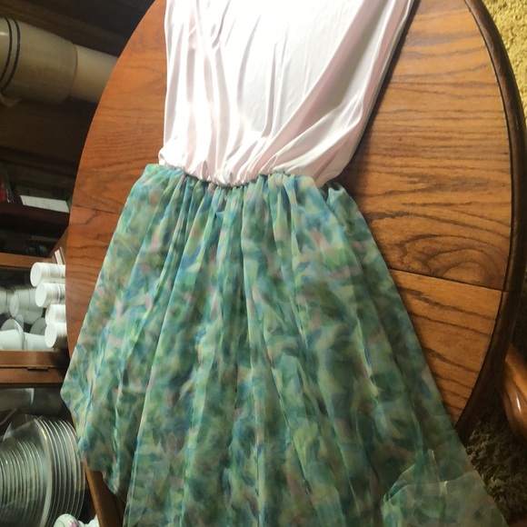 Disneyland Cinderella by LC Lauren Conrad  Size L Layered Tulle Skirt - Picture 7 of 7